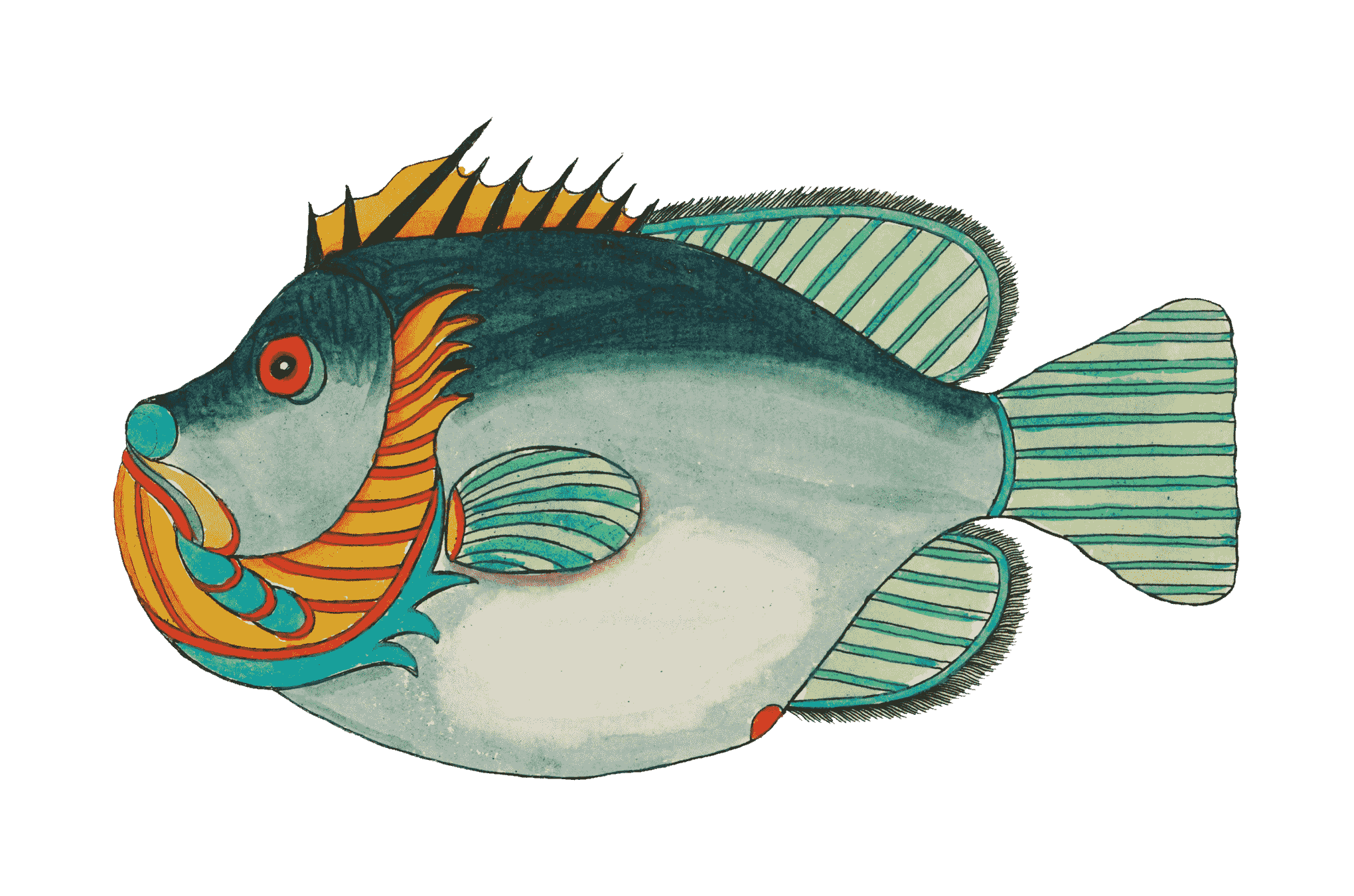 vintage fish illustration from rawpixel